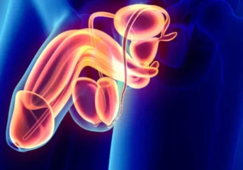 Doppler Peniano com Injeção Cavernosa. Médico especialista Dr. Victor Mol. Atendimento em Niterói e Rio de Janeiro.